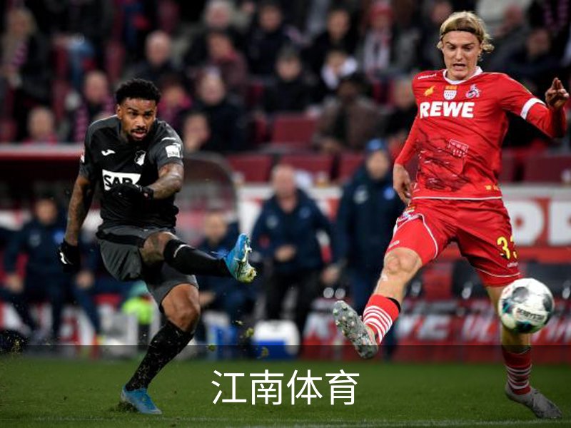 江南体育概况